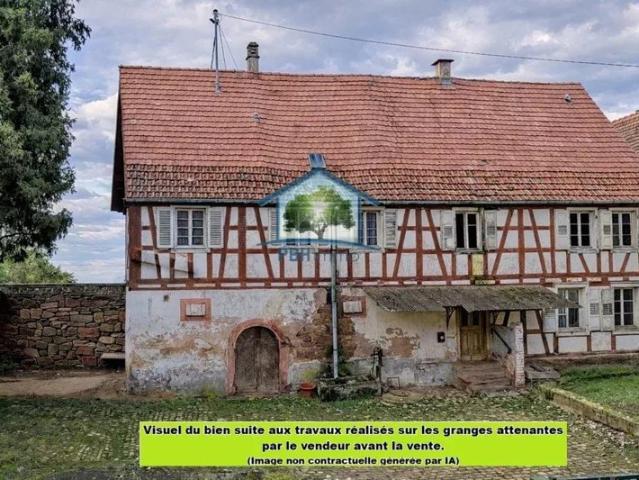 Maison vente à Haguenau-Wissembourg, Woerth