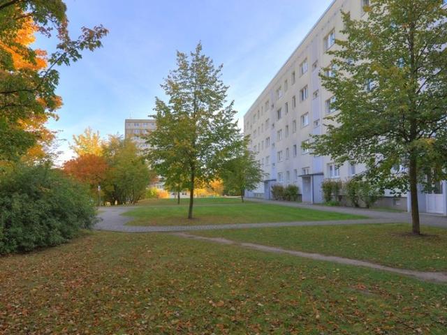 Apartment mieten in Südstadt, Halle