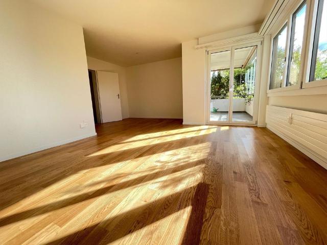 Apartment mieten in Feldmeilen, Meilen