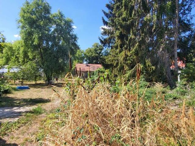 Erdgeschosswohnung kaufen in Falkensee, Brandenburg