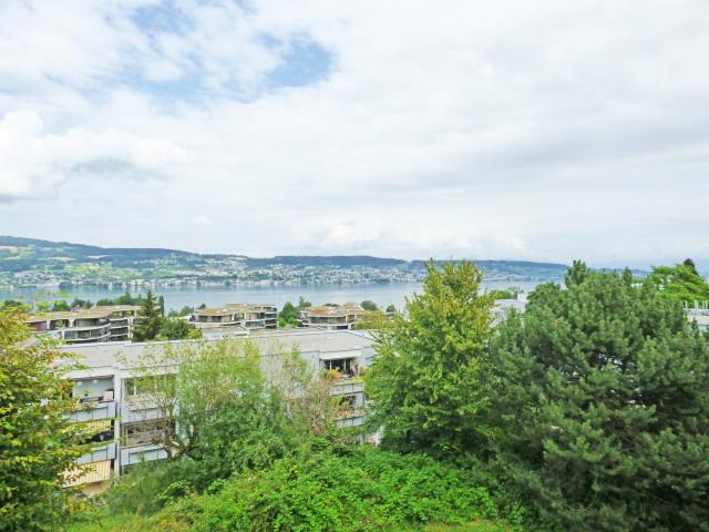 Apartment mieten in Wädenswil, Zürich