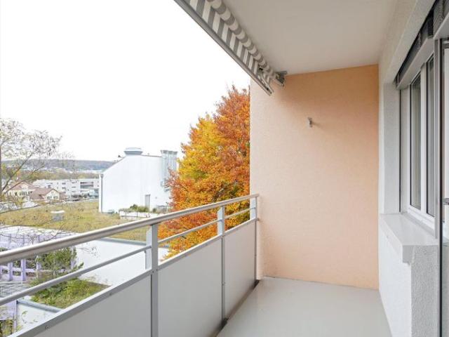 Apartment mieten in Dornach