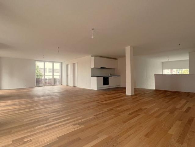 Apartment mieten in Reiden, Lü