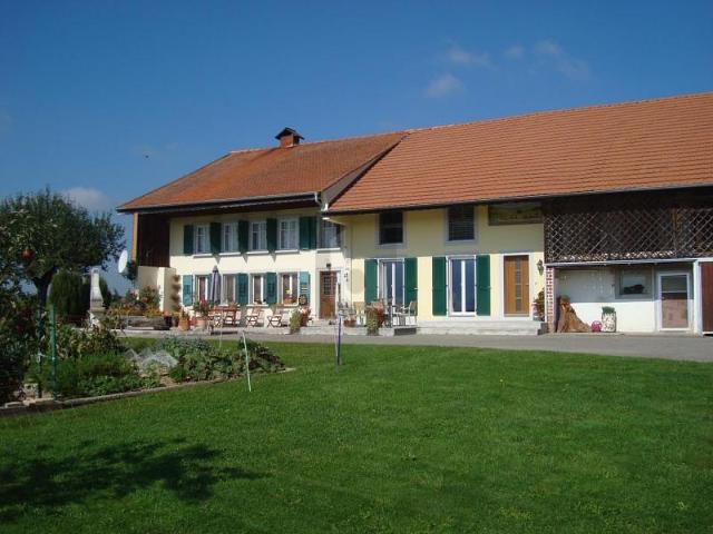 Landwirtschaft kaufen in Cottens (FR), Freiburg