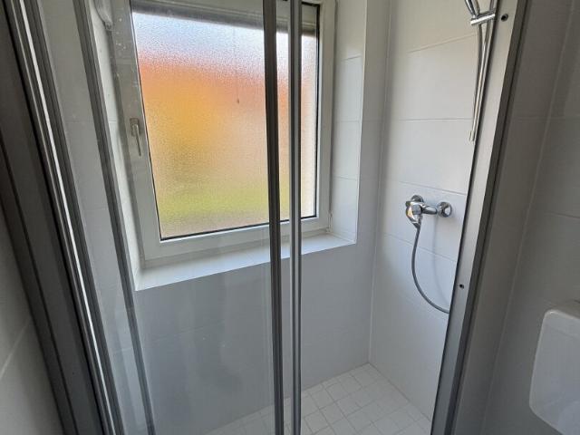 Apartment mieten in Zwischenbrücken, Steyr