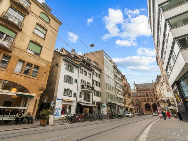 Mehrfamilienhaus kaufen in Basel, Basel-Stadt