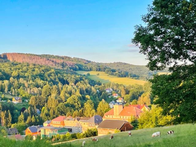 Mehrfamilienhaus kaufen in Sebnitz, Sachsen