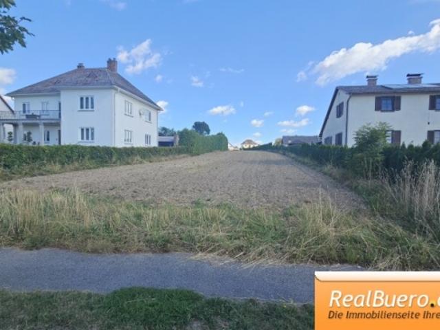 Mehrfamilienhaus kaufen in Vitis, Niederösterreich