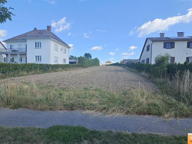 Haus kaufen in Vitis, Niederösterreich