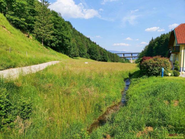 Immobilie kaufen in Kärnten