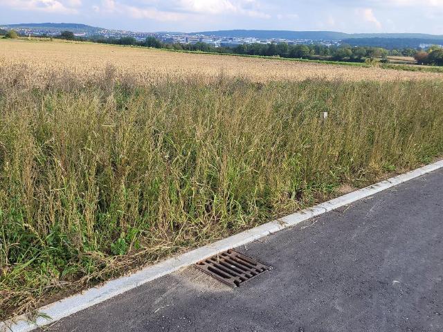 Landwirtschaft kaufen in Hirschlanden, Ditzingen