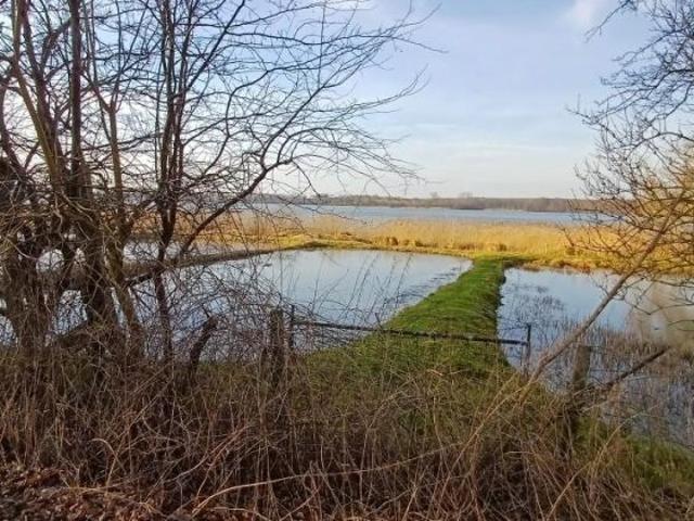 Erdgeschosswohnung kaufen in Bornhöved, Schleswig-Holstein