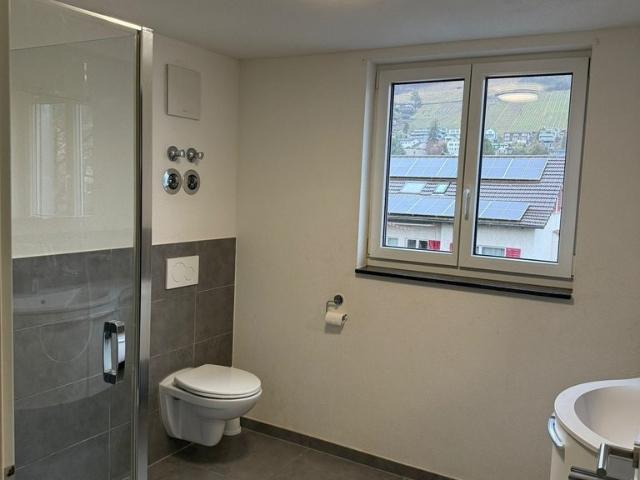 Apartment mieten in Wettingen, Aargau