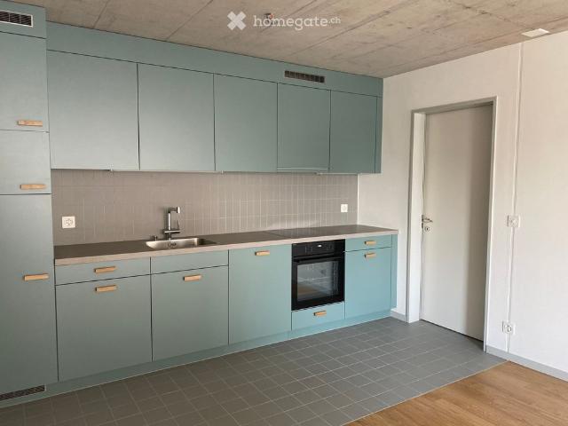 Apartment mieten in Erlinsbach (SO), Amtei Olten-Gösgen