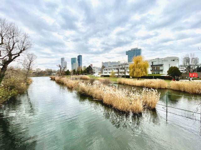 Apartment mieten in Donaustadt, Wien