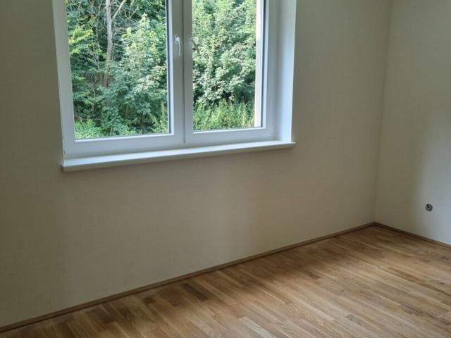 Haus kaufen in Linz