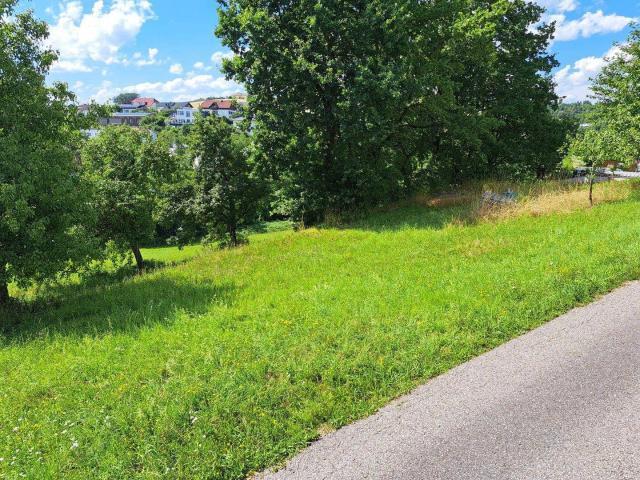 Immobilie kaufen in Jörgensbühl, Walding