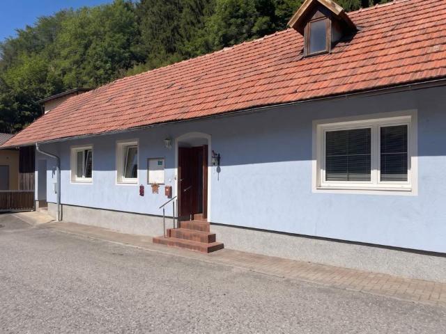 Haus kaufen in Neunkirchen, Niederösterreich