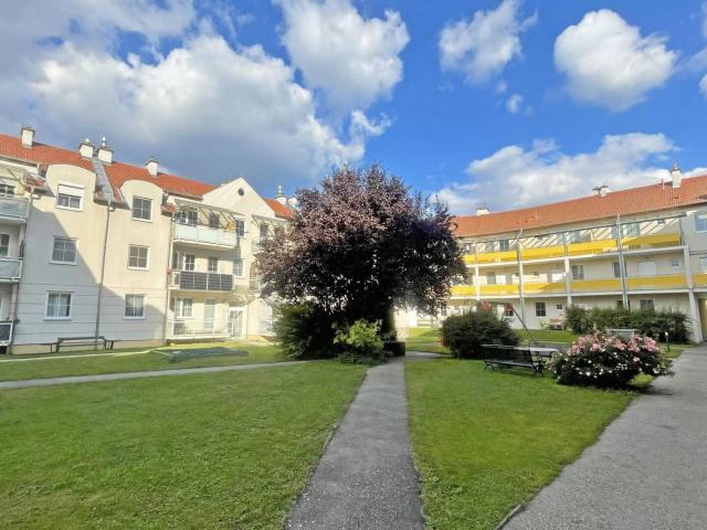 Apartment mieten in Langenlois, Niederösterreich