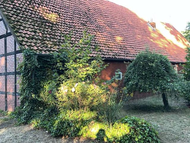Haus kaufen in Lienen, Kreis Steinfurt