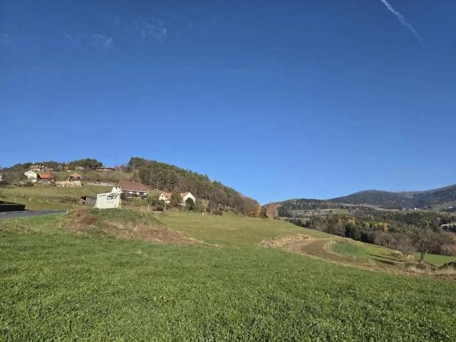 Grundstück kaufen in Pöllauberg, Steiermark