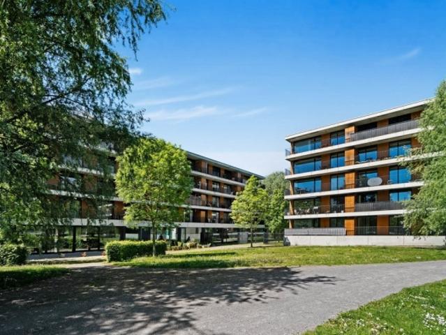 Attikawohnung mieten in Biel, Bern