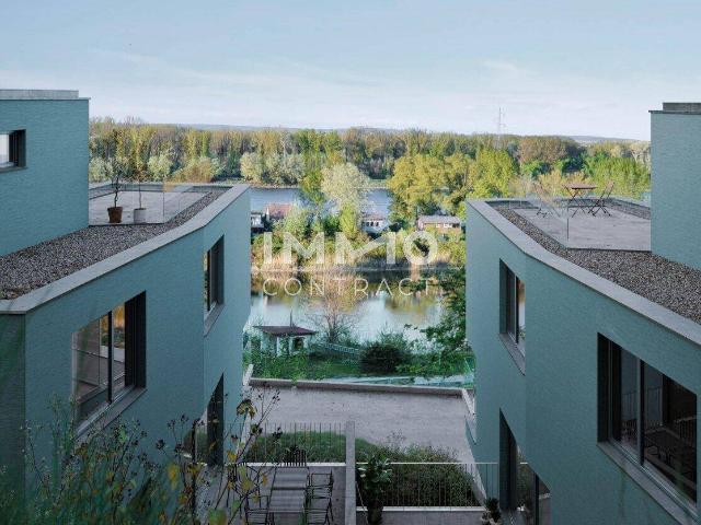 Haus kaufen in Klosterneuburg, Niederösterreich
