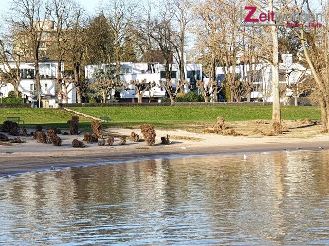 Apartment mieten in Rodenkirchen, Köln