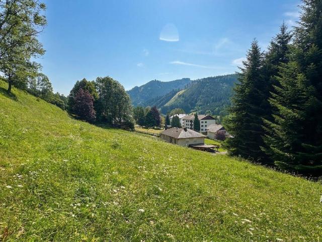 Immobilie kaufen in Oberzeiring, Steiermark