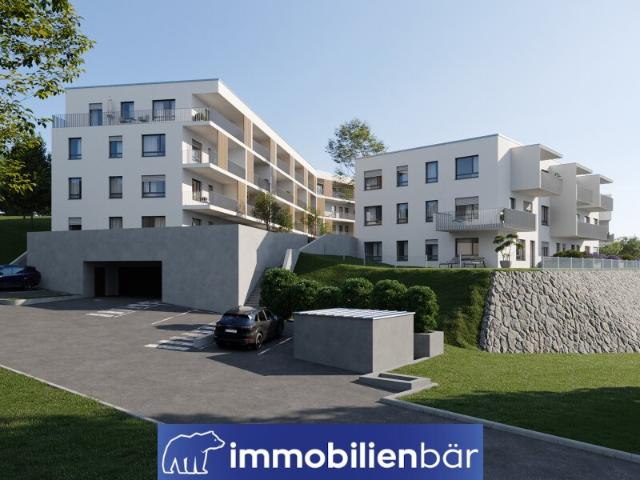 Wohnung kaufen in Bad Schallerbach, Oberösterreich