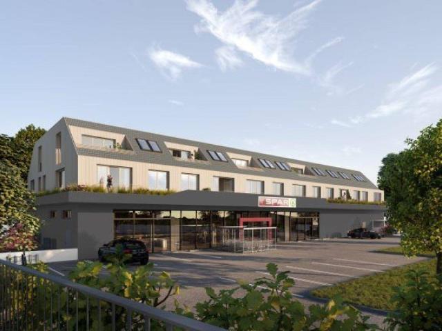 Apartment kaufen in Kirchberg am Wagram, Niederösterreich