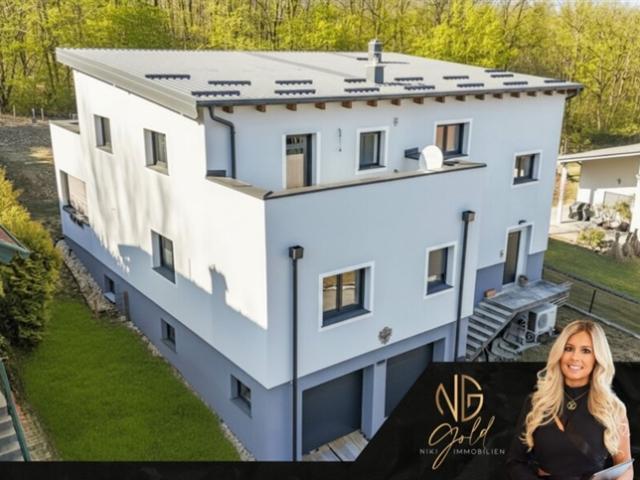 Haus kaufen in Frankenau-Unterpullendorf, Burgenland