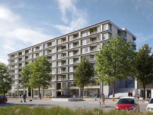 Apartment mieten in Wädenswil, Zürich