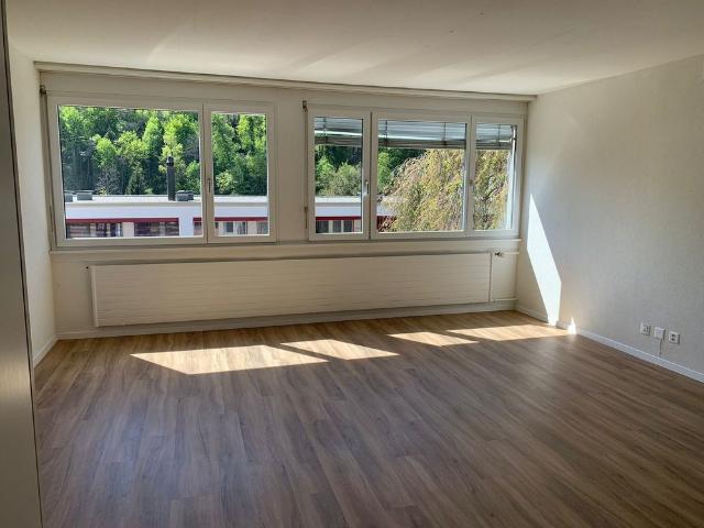 Apartment mieten in Mühlental, Schaffhausen