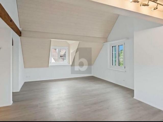 Dachwohnung mieten in Dielsdorf, Zürich