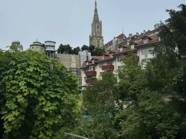 Wohnung mieten in Bern