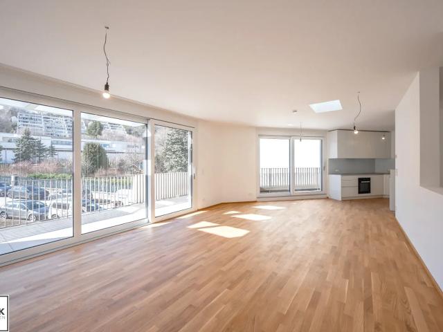 Apartment mieten in Schöffelstadt, Mödling
