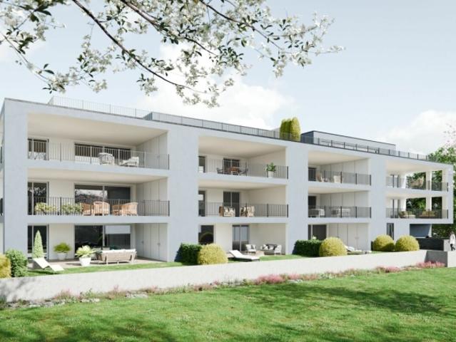 Wohnung kaufen in Villmergen, Aargau
