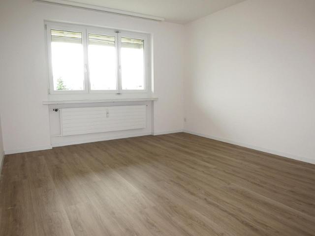 Immobilie kaufen in Schaffhausen