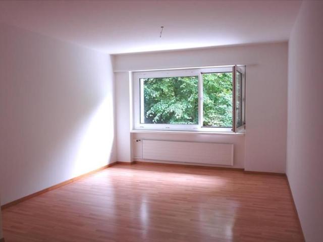 Apartment mieten in Altstadt, Zug
