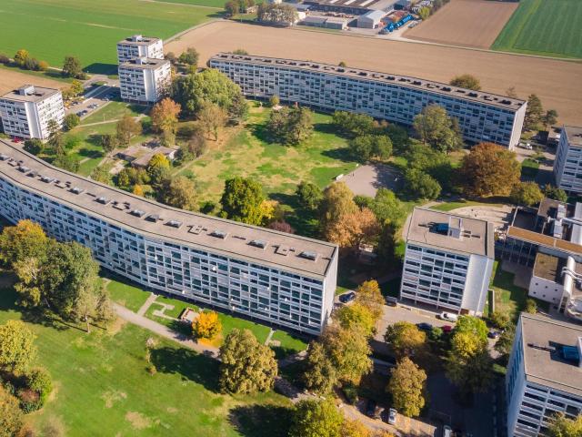 Apartment mieten in Birr, Aargau