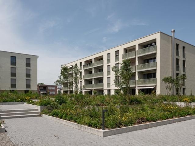 Wohnung mieten in Rapperswil-Jona, St. Gallen
