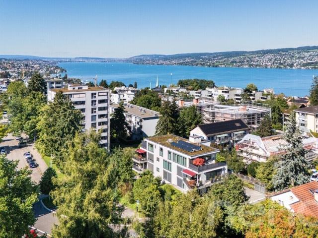 Attikawohnung kaufen in Horgen, Zürich