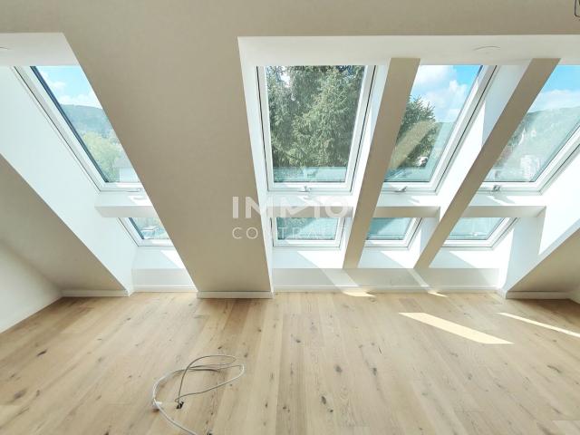 Wohnung kaufen in Mödling, Niederösterreich