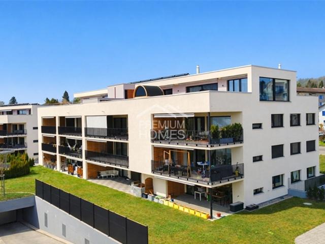 Attikawohnung kaufen in Menziken, Aargau