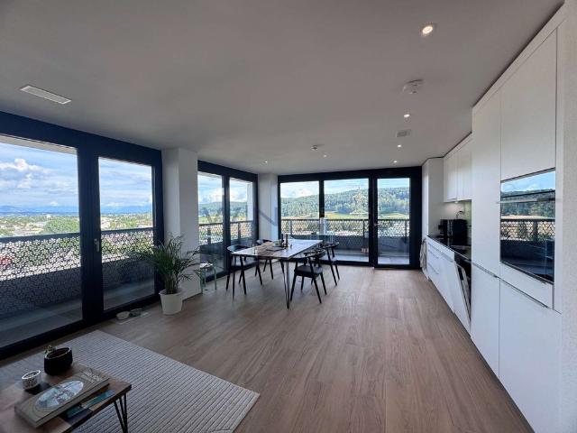 Apartment mieten in Dübendorf, Zürich
