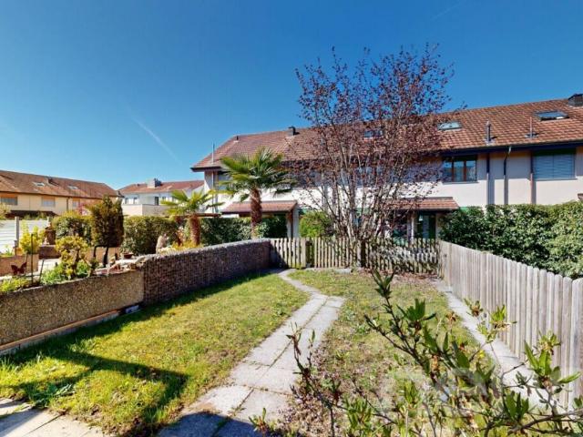 Reihenfamilienhaus kaufen in Solothurn