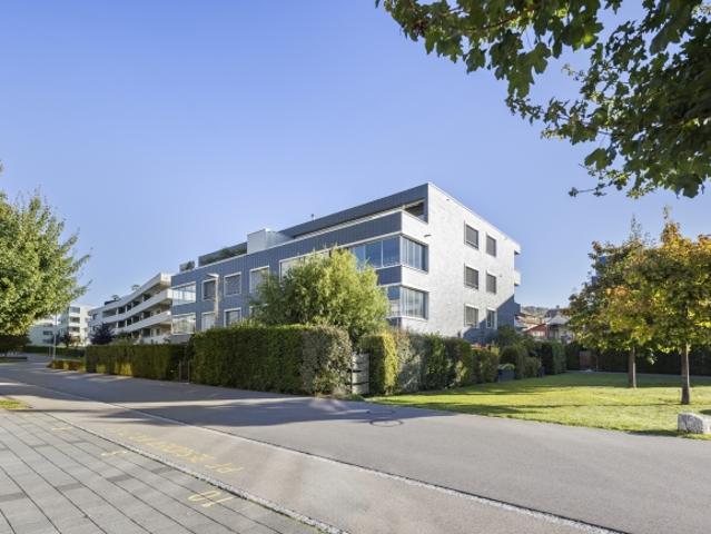 Wohnung kaufen in Seengen, Aargau