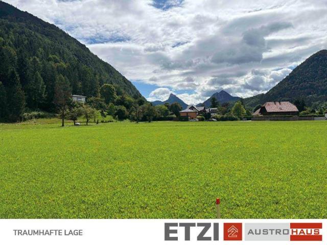 Immobilie kaufen in Grünau im Almtal, Oberösterreich