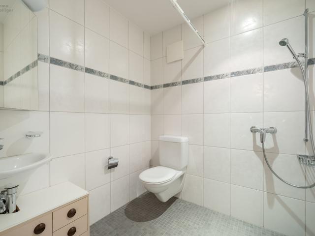 Apartment kaufen in Strengelbach, Aargau